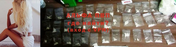 ALPHA PVP Новозыбков