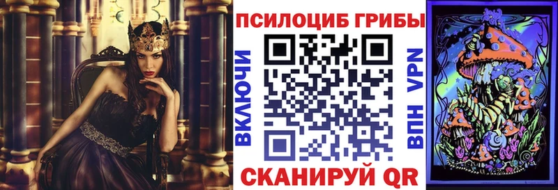 Галлюциногенные грибы GOLDEN TEACHER  Приволжск 