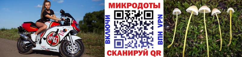 Галлюциногенные грибы ЛСД Приволжск