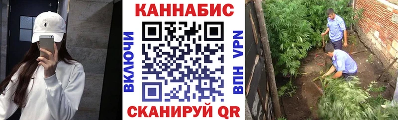 blacksprut ссылка  Приволжск  Шишки марихуана VHQ 
